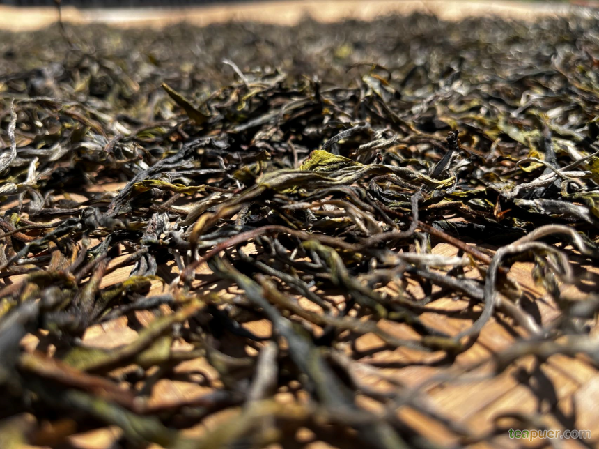 普洱茶区——老海塘