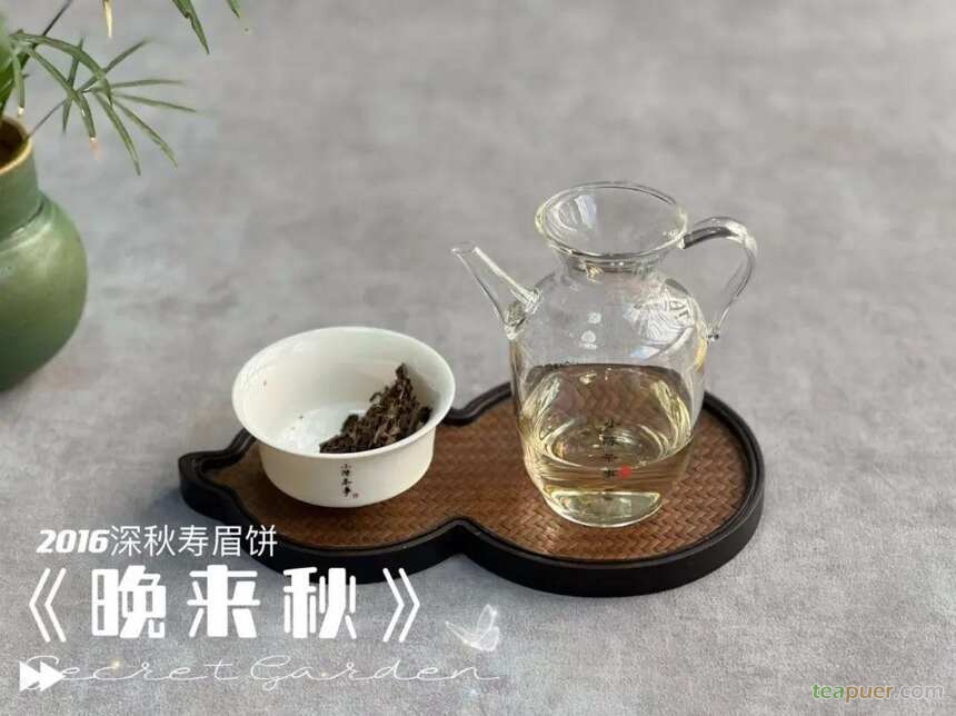 夜晚喝茶担心失眠？绿茶、白茶、红茶、普洱茶，哪些可以晚上喝？