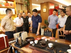 共同推进英德红茶产业高质量发展 | 英德市人民政府与广州茶业协会签订战略合作协议